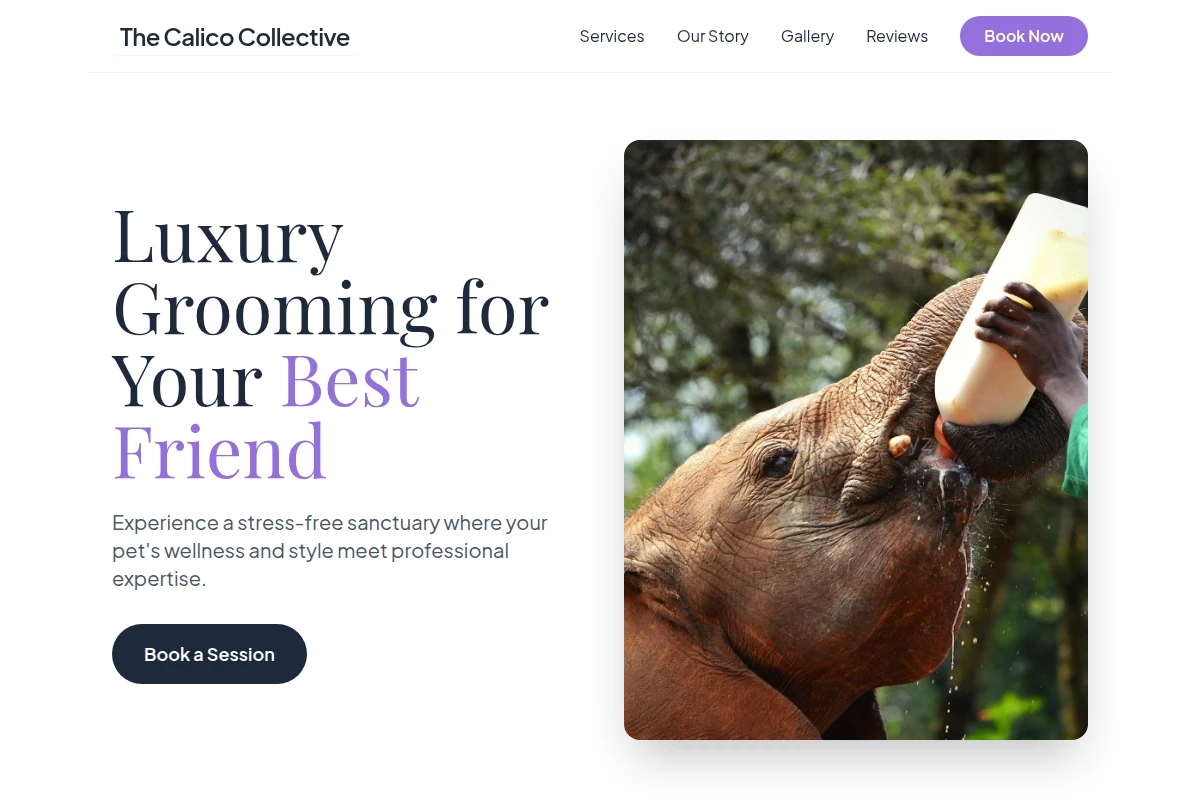 Grooming Animal Care