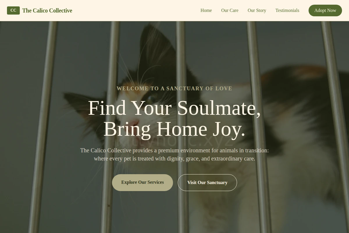 Cafe Animal Shelter