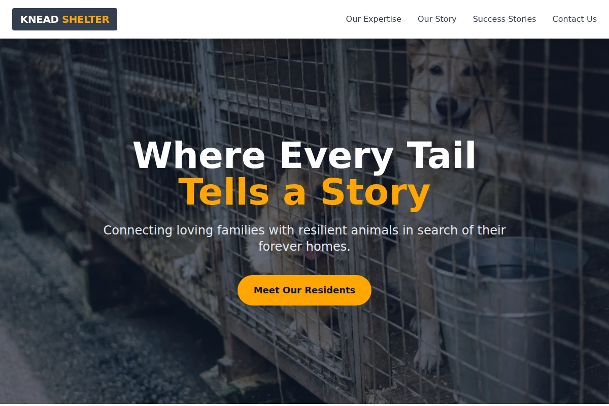 Knead Animal Shelter