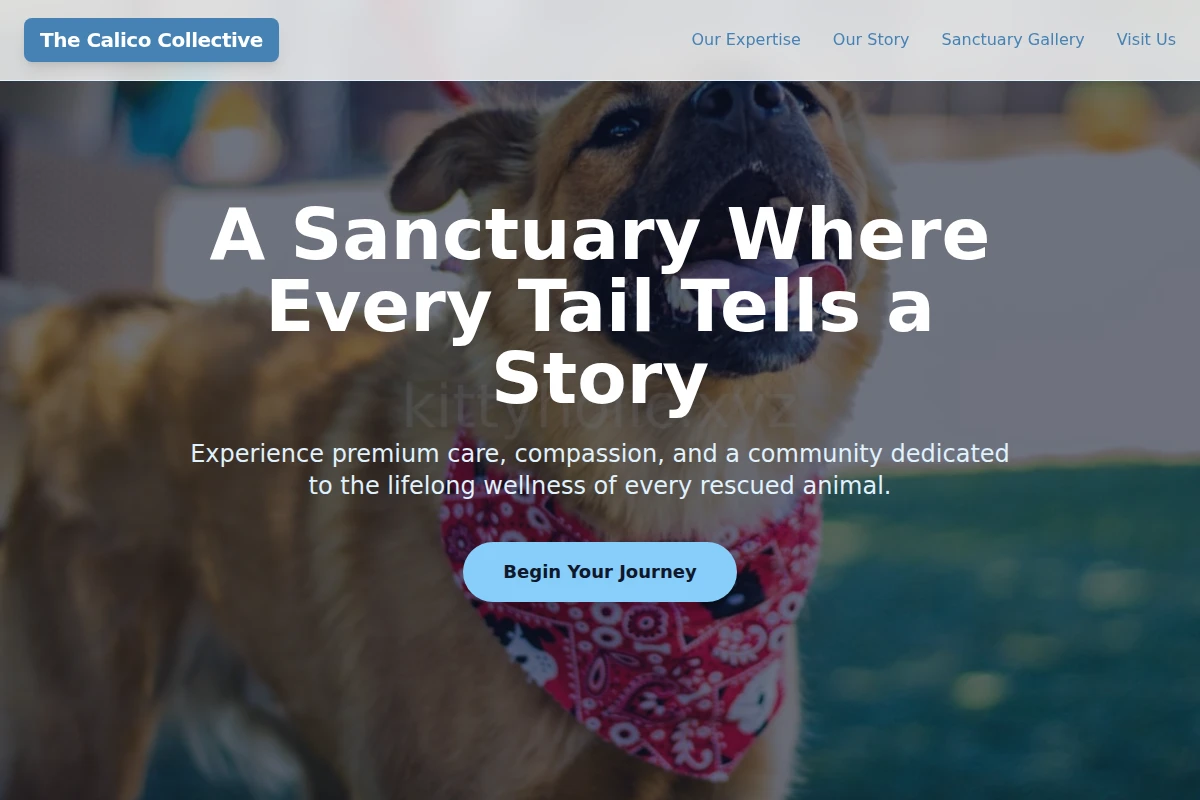 Studio Animal Shelter