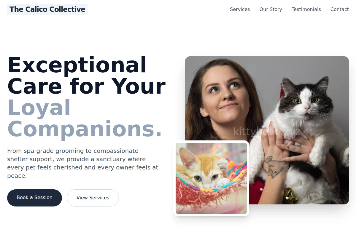 animal-shelter