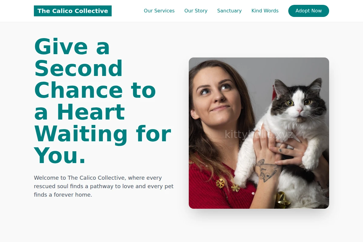Purr Animal Shelter