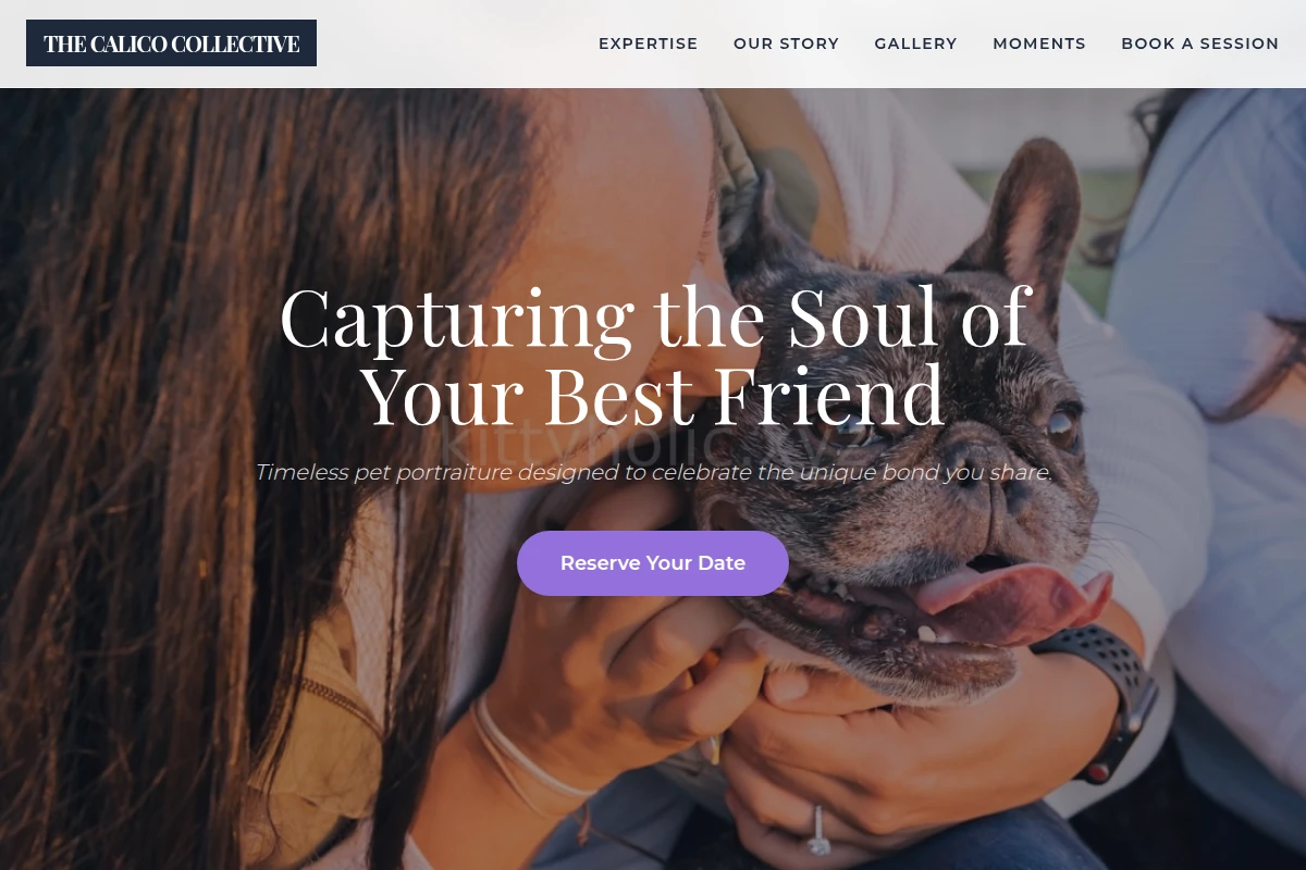 Elegant Pet Photography