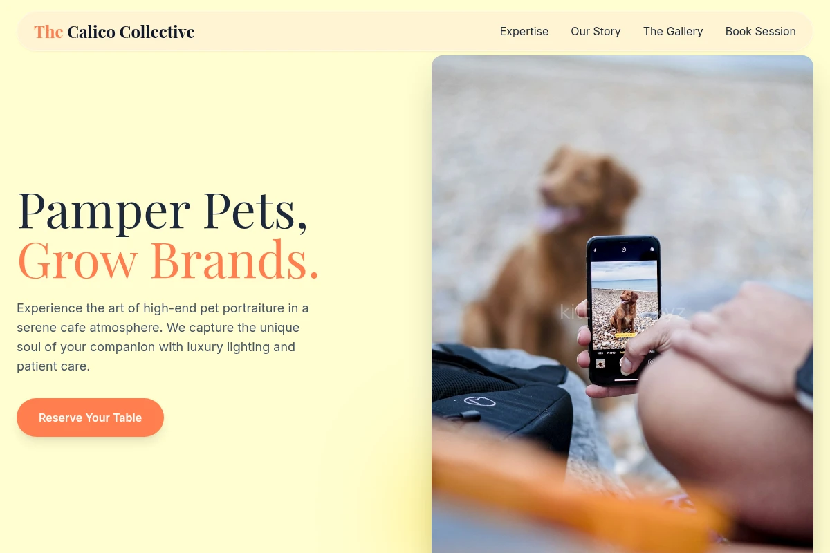pet-photography