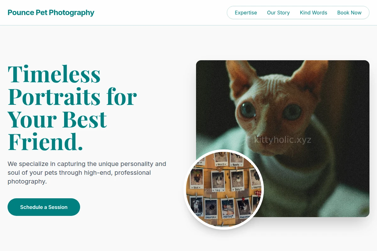 Pounce Pet Photography