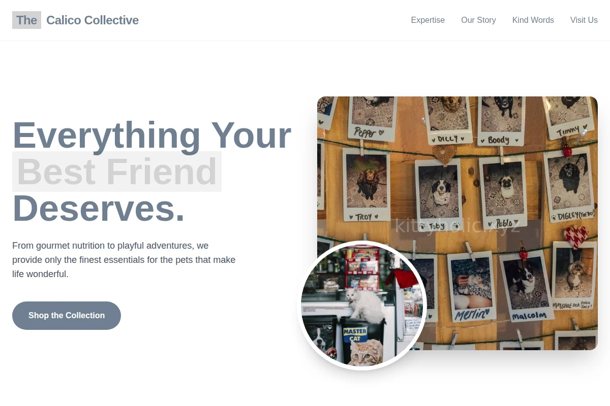 Litter Pet Shop
